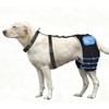 KISFLY Dog Hip Brace, Hot Cold Therapy Rear Leg Care