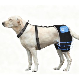 KISFLY Dog Hip Brace, Hot Cold Therapy Rear Leg Care & Joint Care L