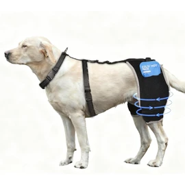 KISFLY Dog Hip Brace, Hot Cold Therapy Rear Leg Care & Joint Care L