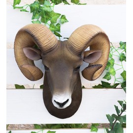 Ebros Wildlife Rustic Rocky Mountains Bighorn Sheep Ram Trophy Taxidermy Wall Decor Sculpture Hanging Plaque Hunters Cabin Lodge Country Farmhouse Nature Figurine 15"H