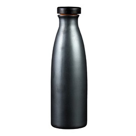 Yamasho Pottery Ion-s5 Shigaraki Ware Ion Bottle Candy Espresso