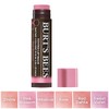 Burt's Bees Pink Blossom Tinted Lip Balm 4.25g