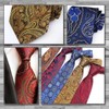 LEX STANDARD NA003 Men's Paisley Pattern Stylish Necktie, Casual Suit,