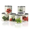 Flowers in the Tin Gift Set-Mint-Chili