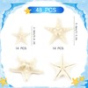 Jangostor 48 PCS Starfish, Mixed Starfish 1" to 2" and