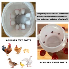 ZLMDK Rainproof Chicken Feeder and Chicken Waterer Set (13 Gallon/60 Pounds) Automatic Chicken Feeder Poultry Feeder Bucket with 10 Ports Chicken Waterer (2.6 Gallon/10L) with 8 Water Cups