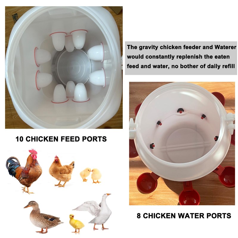 ZLMDK Rainproof Chicken Feeder and Chicken Waterer Set (13 Gallon/60
