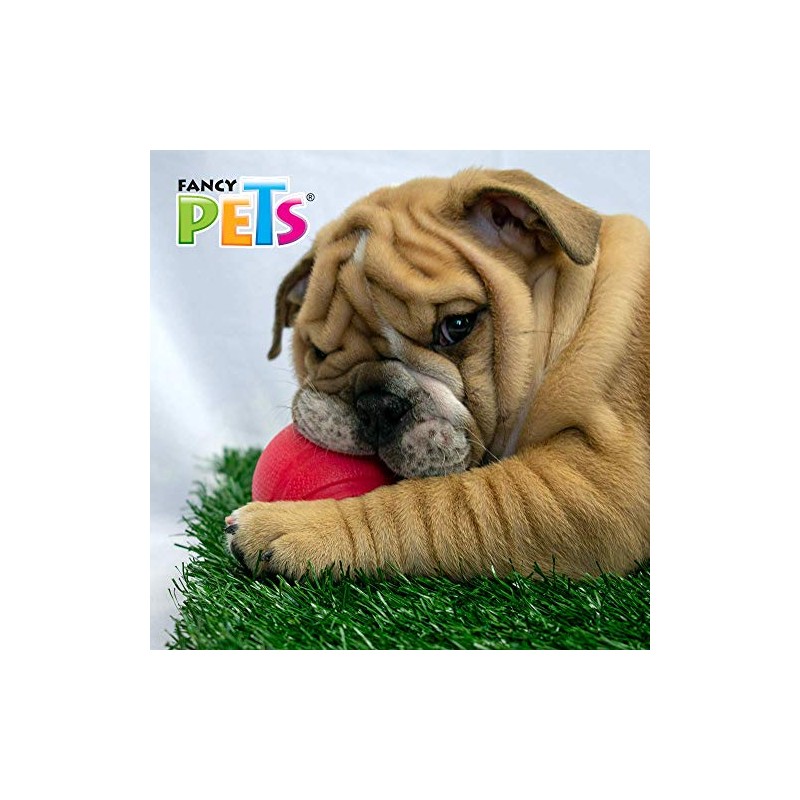 Fancy Pets Juguete Chew Pelota para Perro