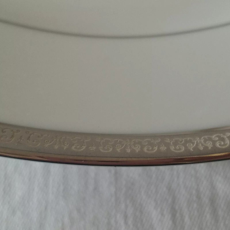 CHARTER CLUB Grand Buffet Platinum Collection 2 Dinner Plates New