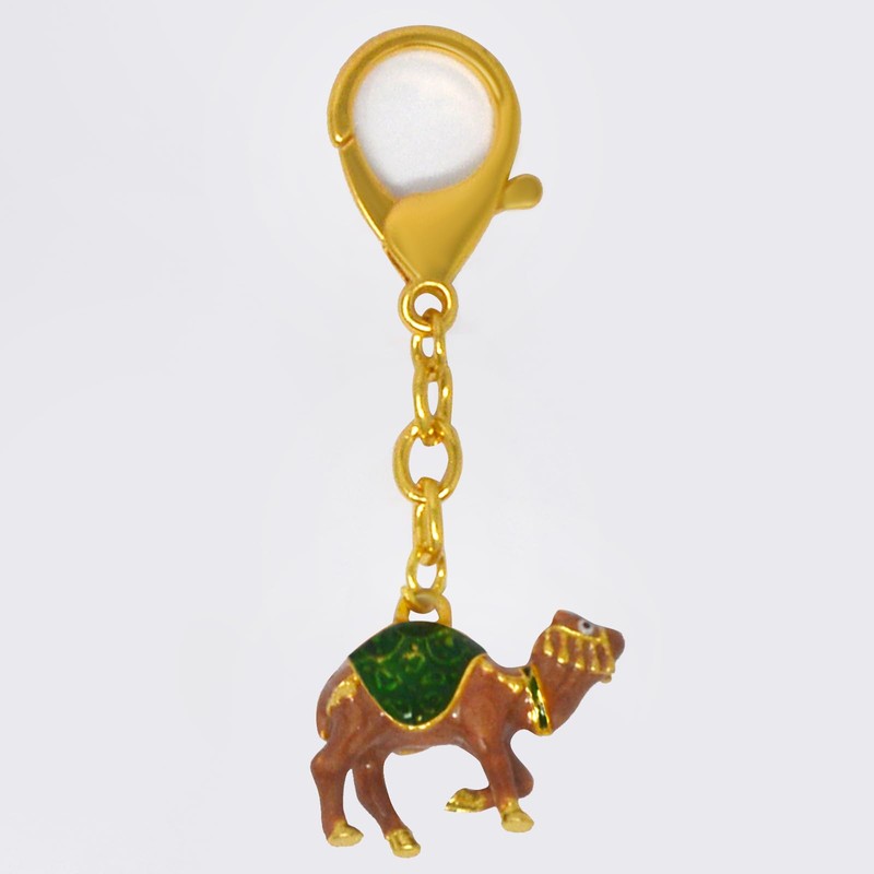 YISHUI Feng Shui Key Chain, Amulet, Long Life, Wallet, Gift,