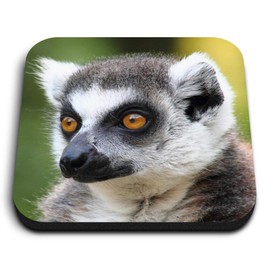 1 x Square MDF Fridge Magnet - Lemur Monkey Head Wildlife 15821