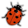 JJH Inc Magnet Ladybug Cartoon Flexible Vinyl Magnet Waterproof Car Magnetic Bumper Sticker 5"