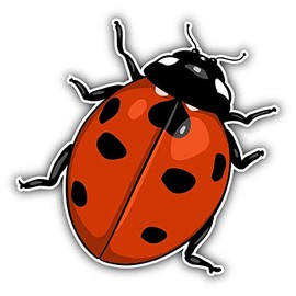 JJH Inc Magnet Ladybug Cartoon Flexible Vinyl Magnet Waterproof Car Magnetic Bumper Sticker 5"