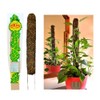 Mosser Lee Sphagnum Moss Pole for Indoor Plants, Monstera Moss