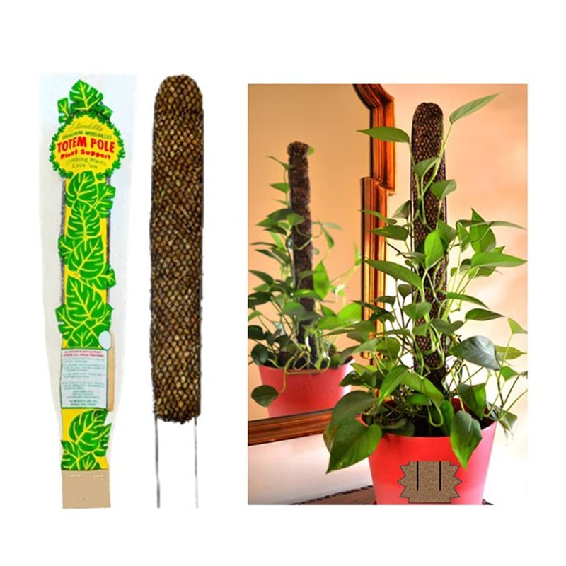 Mosser Lee Sphagnum Moss Pole for Indoor Plants, Monstera Moss