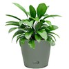 7 Inch Self-Watering Bamboo Planter (Sage Green) - Round -