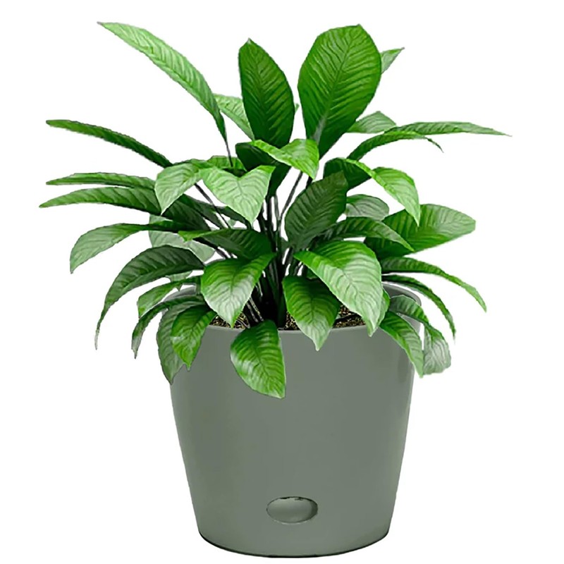 7 Inch Self-Watering Bamboo Planter (Sage Green) - Round -