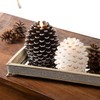 Pavilion Gift Company Brown 5 Inch Pinecone LED-Lit Battery Operated
