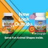 Nature's Plus Animal Parade DHA Cherry -- 90 Chewable Tablets