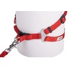 GoGo Pet Products Comfy Nylon 5/8-Inch Adjustable Easy Pet Harness,