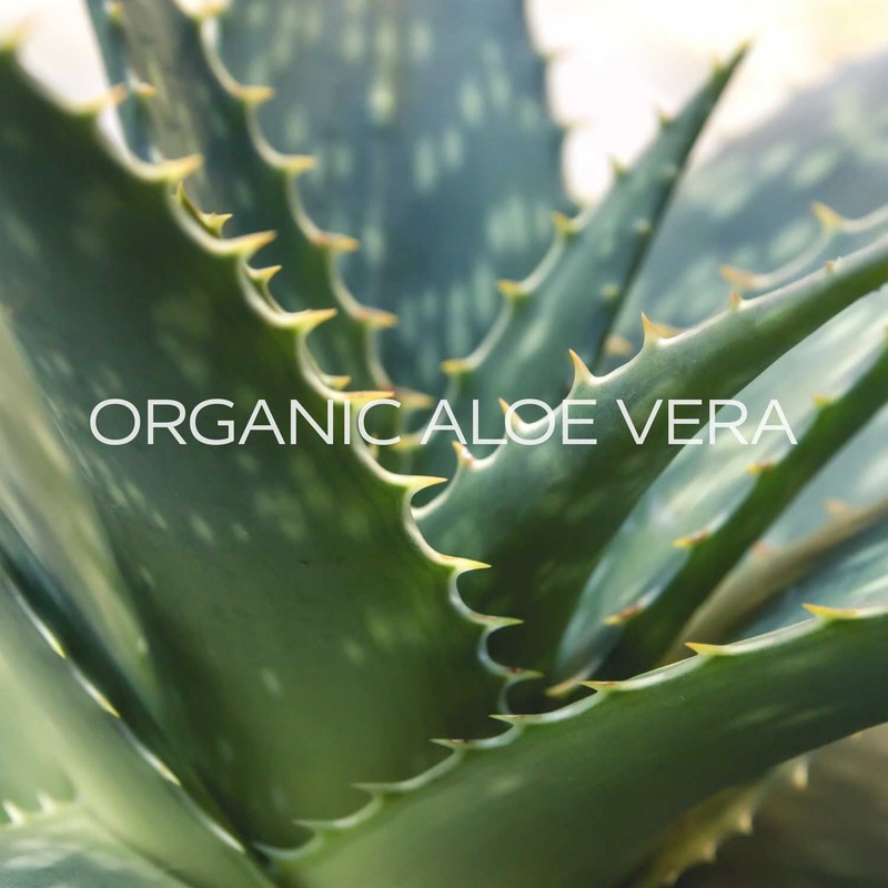 Leo & Lilo For Someone Special Hand & Body Lotion