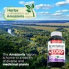 FITO MEDICS- Lab resveratrol 180 cápsulas 45000 mg suplemento de