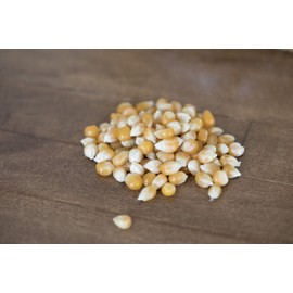 Amish Country Popcorn | 10-4 Oz Bags - Extra Large Caramel Type Kernels | Old Fashioned, Non-GMO and Gluten Free