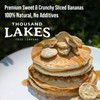 Thousand Lakes Freeze Dried Fruit - Sliced Bananas - Bulk