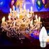 (12pack) 60W Incandescent Torpedo Tip Chandelier - 60W Equivalent Medium