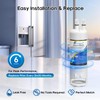 EXCELPURE WHR1RXD1 Replacement for EDR1RXD1 Refrigerator Water Filter, Everydrop® Filter