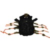 Midlee Scary Spider Costume