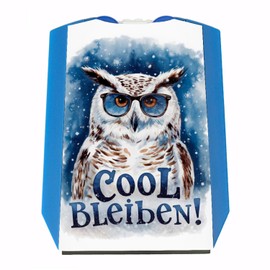 Stay Cool Parking Disc Snow Owl with Sunglasses Funny Parking Disc for Drivers - Unique Owl Design