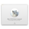 32GB - Bootable MacOS Snow Leopard 10.6, USB Drive 3.2,