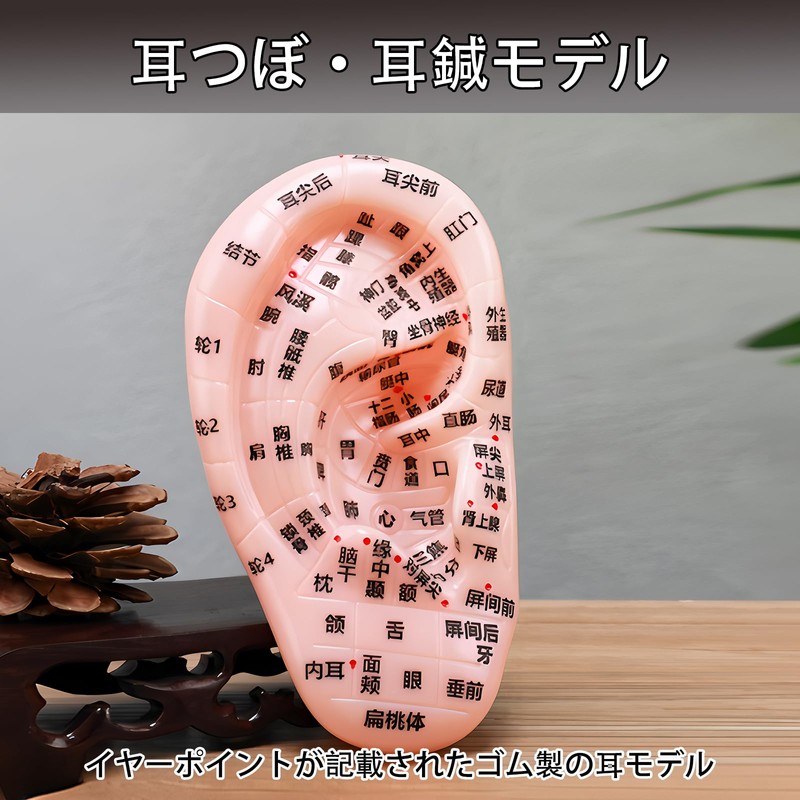 ピュアシーク 6個セット 耳鍼モデル 耳つぼモデル 医療器具 耳マッサージ 鍼モデル つぼモデル PVC 耳