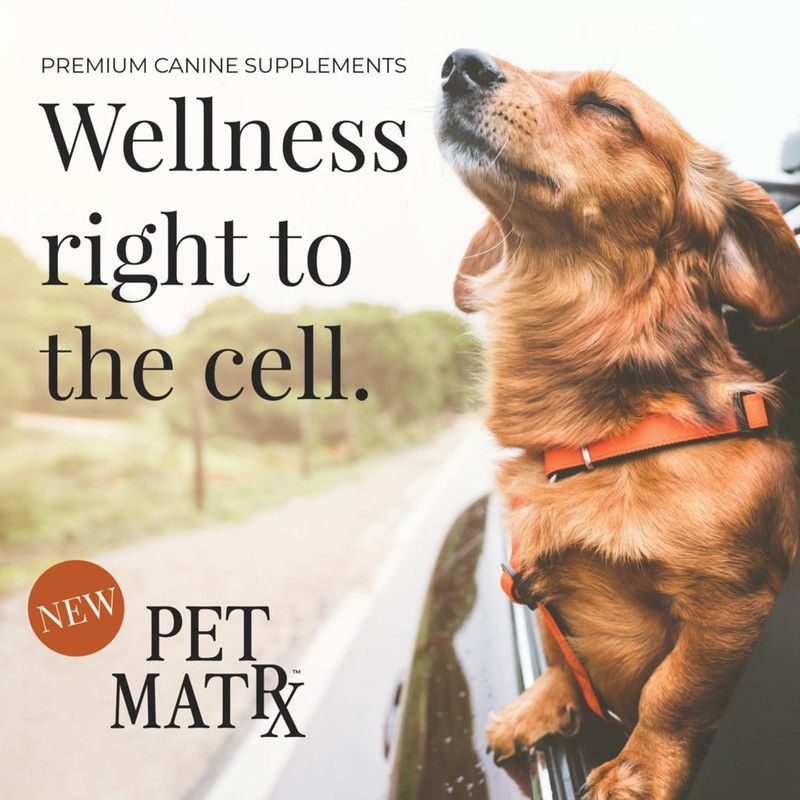 Pet MatRx Think Cognitive and Calming Supplement with Collagen and