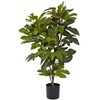 Nearly Natural 32in. Fig Tree with 15 Figs