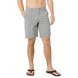 Quiksilver Men's Backwater 2 Amphibian Short, Sharkskin, 30