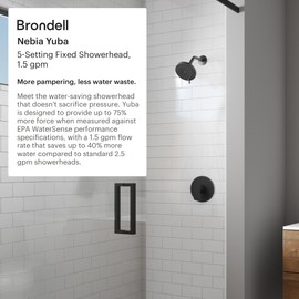 Brondell Nebia Yuba Fixed Shower Head, 5- Setting, Precision Nozzle, Matte Black