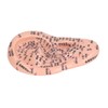 6.7in Ear Acupuncture Model Silicone Engraving Ear Massage Acupuncture Model