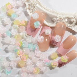 BAIYIYI 50Pcs Flower Nail Art Charms Colorful 3D Gradient Rose Flower Resin Charms Acrylic Nails Decoration Flat-Back Camellia Nail Flower for Women DIY Crafts Manicures Tips