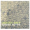 Veruca Salt - Ghost Notes