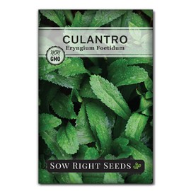 Sow Right Seeds - Culantro Seeds for Planting - Non-GMO Heirloom Packet with Instructions to Grow a Kitchen Herb Garden - Great Addition to Your Cooking - Unique and Zesty Herb from Puerto Rico