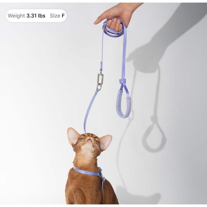 BuddyArmor Cat Harness and Leash Set, Lightweight Escape Proof Cat