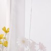 Yujiao Mao Roman Blind with Eyelets Kessy Piping Transparent Voile