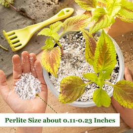 Organic Horticultural Perlite,Natural Perlite Improved Drainage, Ventilation & Root Growth,Perlite Conditioner Potting Mix for Orchids,Succulents,Indoor & Outdoor Plant and Gardening-1QT