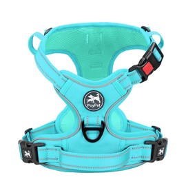PoyPet No Pull Dog Harness, Reflective Dog Harness for Dogs without Choking, Soft Padded Pet Vest with Easy Control Handle (Mint Blue Matching Trim, S)