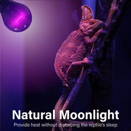 Lustaled Reptile Heat Lamp Bulbs-100W Reptile Night Heat Bulb E26 Terrarium Heat Lamp Simulate Natural Moon Purple Light for Snake Bearded Dragon Leopard Gecko Lizard Chameleon Tortoise -2Pack