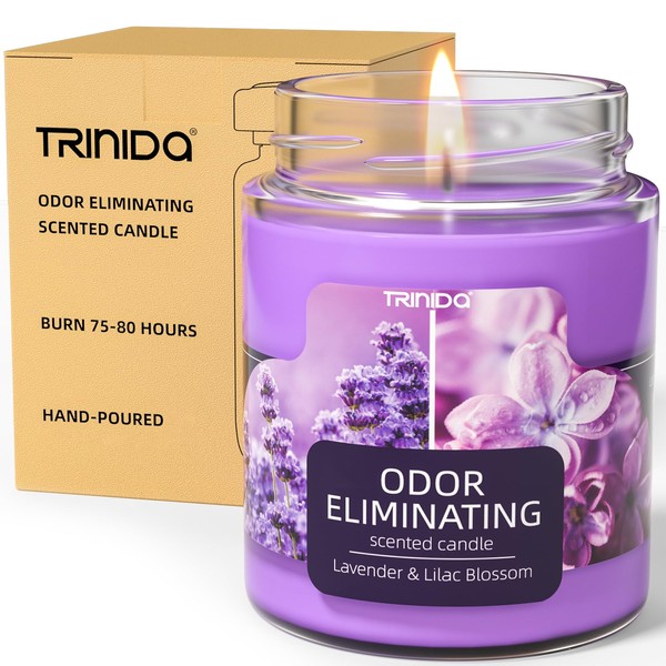Lavender & Lilac Blossom Odor Eliminating Candles for Home Scented,