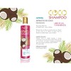 Shampoo de coco – Nekane capilar- 300g – nutrición intensa.