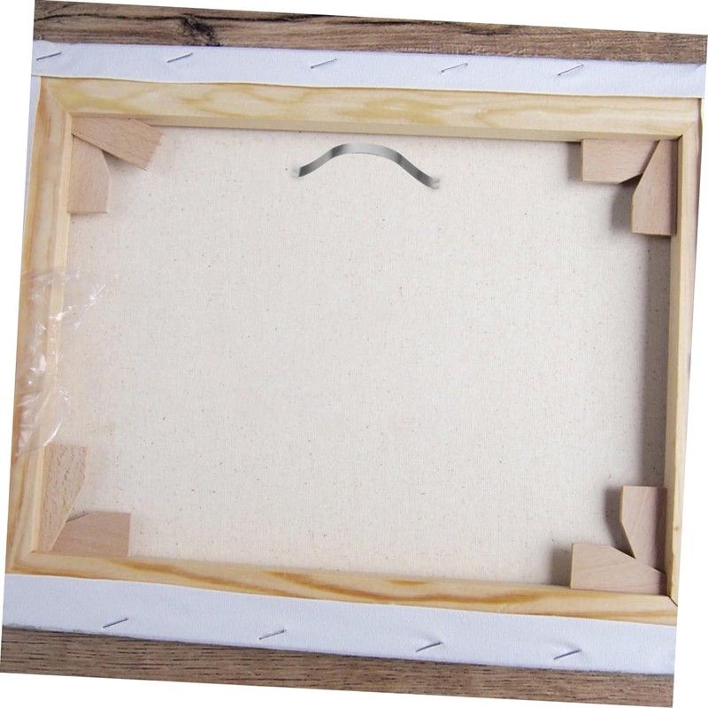 Alipis 100pcs Metal Spring Clips Frame Backing Plate for Framing